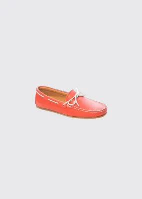 Bahamas Moccasins - Coral