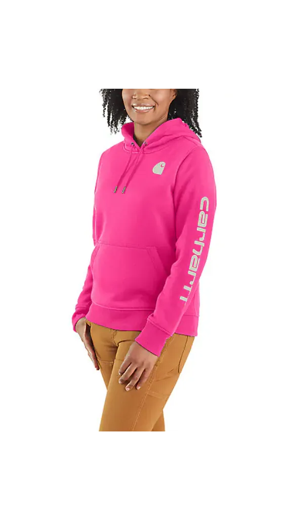 Carhartt Women's Clarksburg Graphic Sweatshirt 102791 - Shop Now