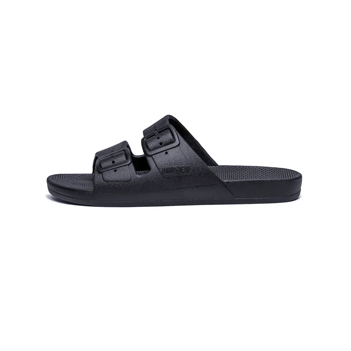 Freedom Moses Basic Slides