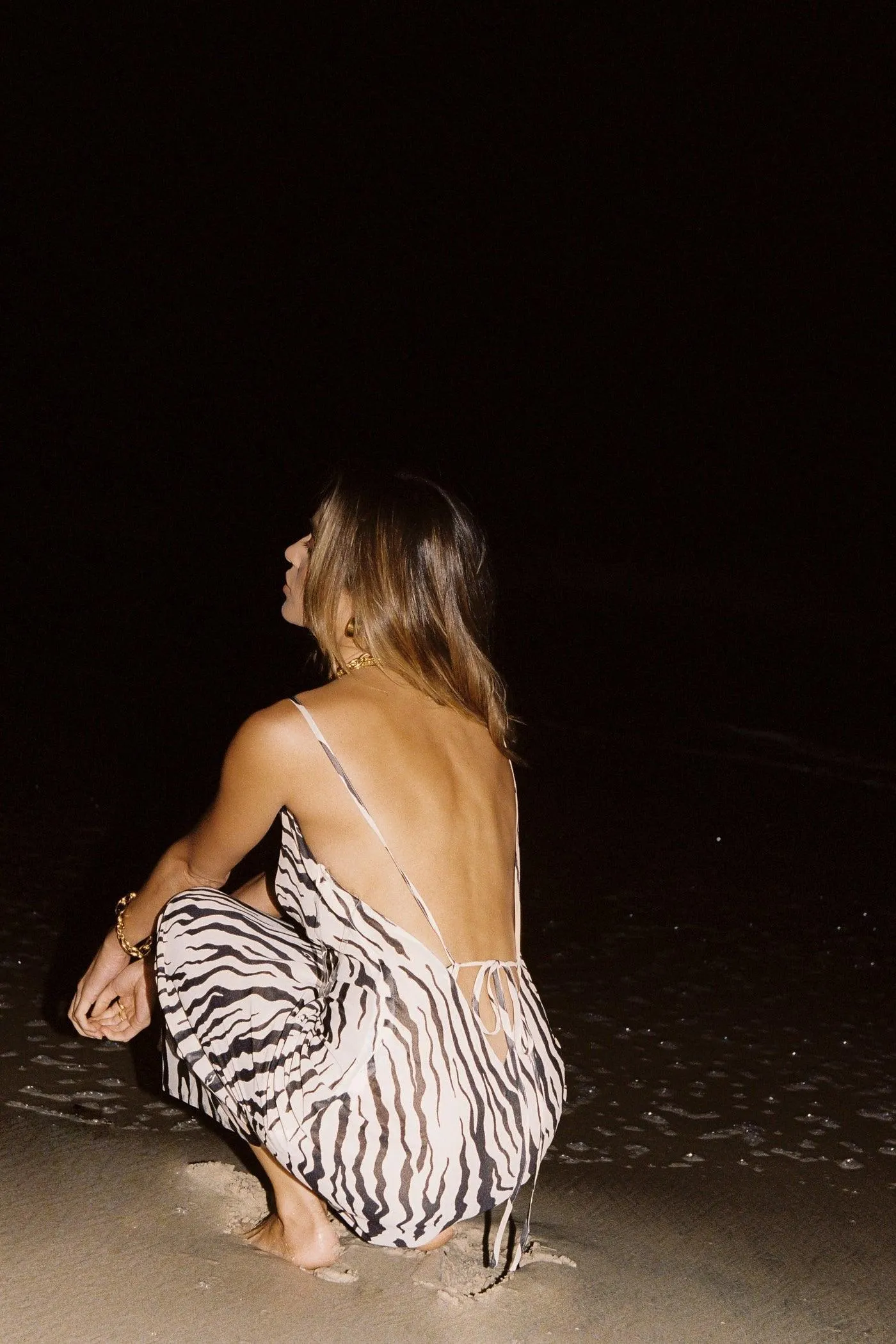 Instinct Zebra Print Dress