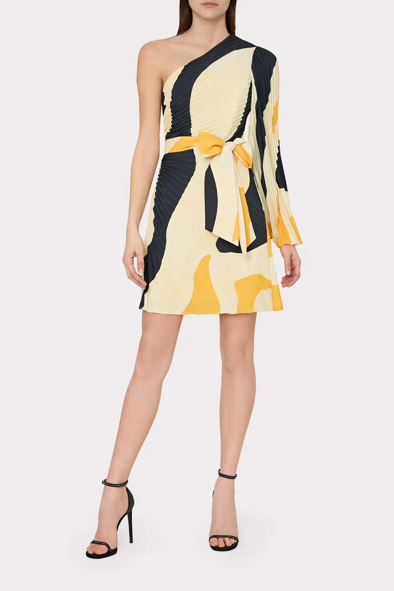 Zebra Pleat Linden Dress