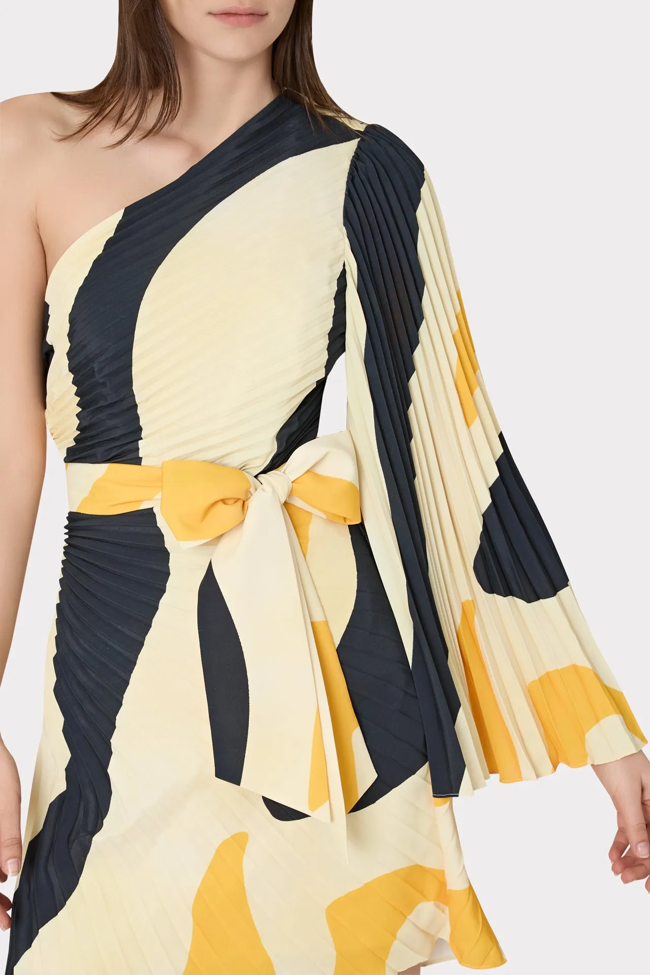 Zebra Pleat Linden Dress