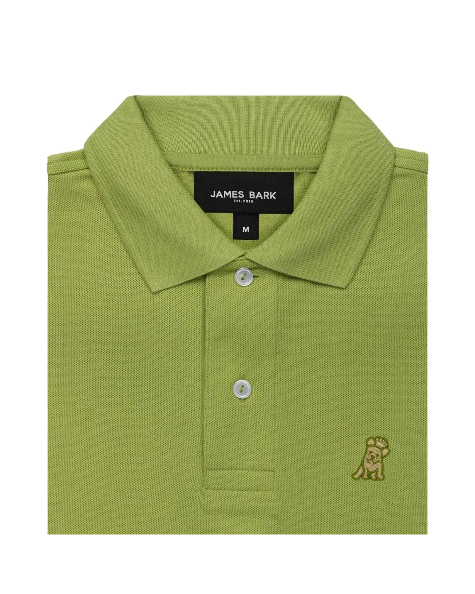 Men's Regular Fit Polo Shirt - Spinach Green A209