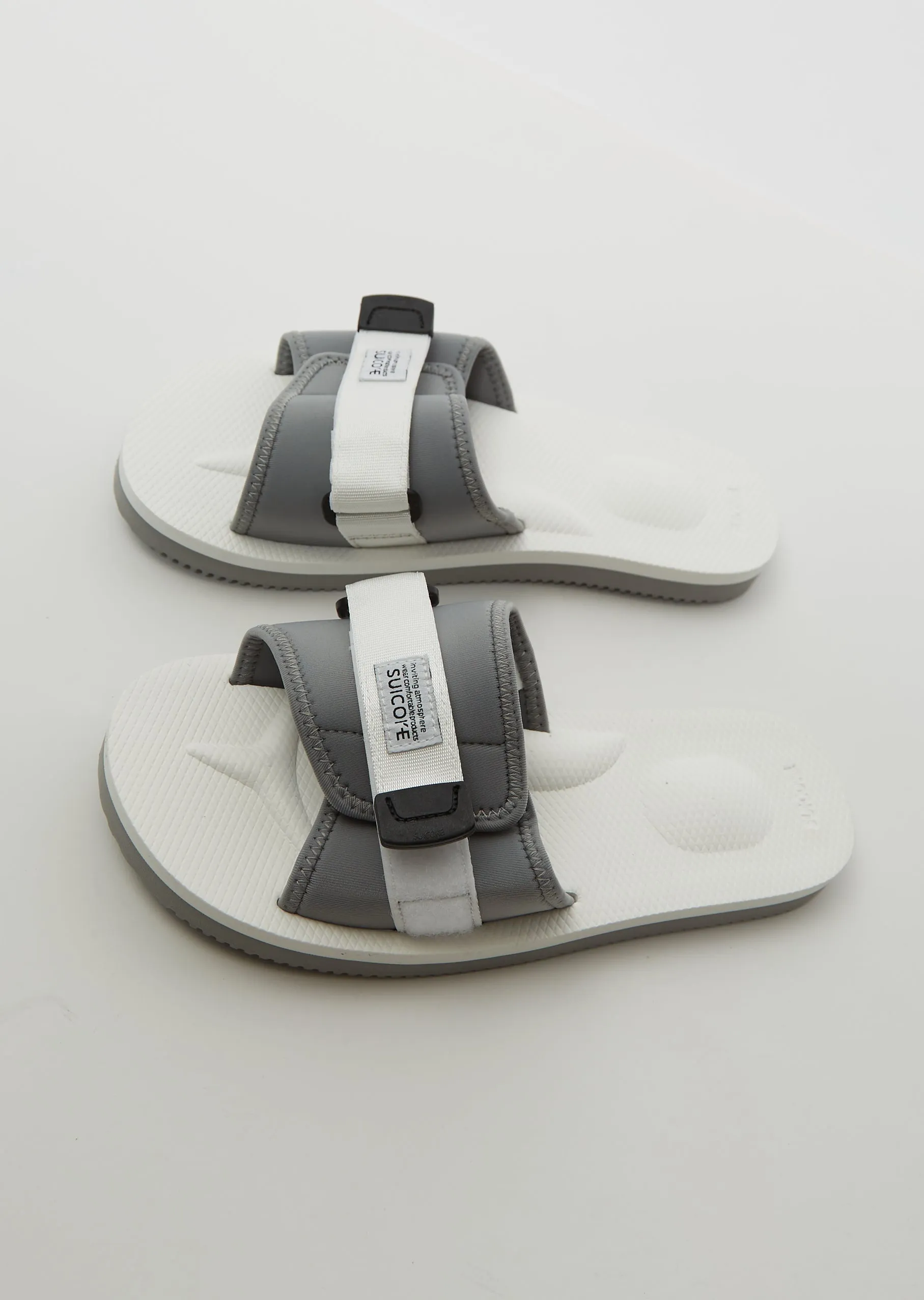 PADRI Slides — White x Gray