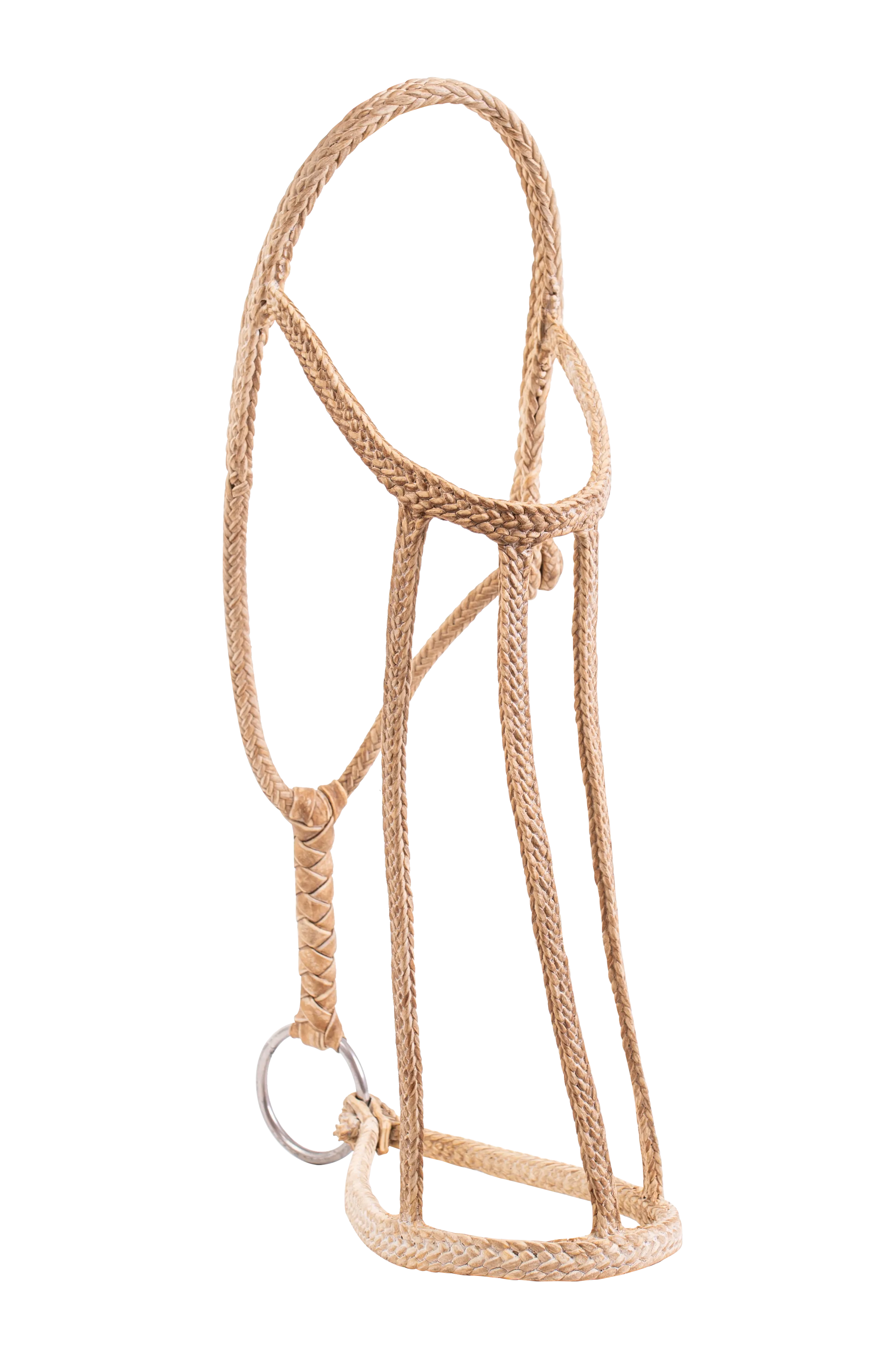 Patria Flat Rawhide Halter