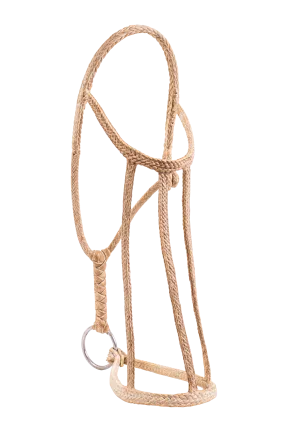 Patria Flat Rawhide Halter