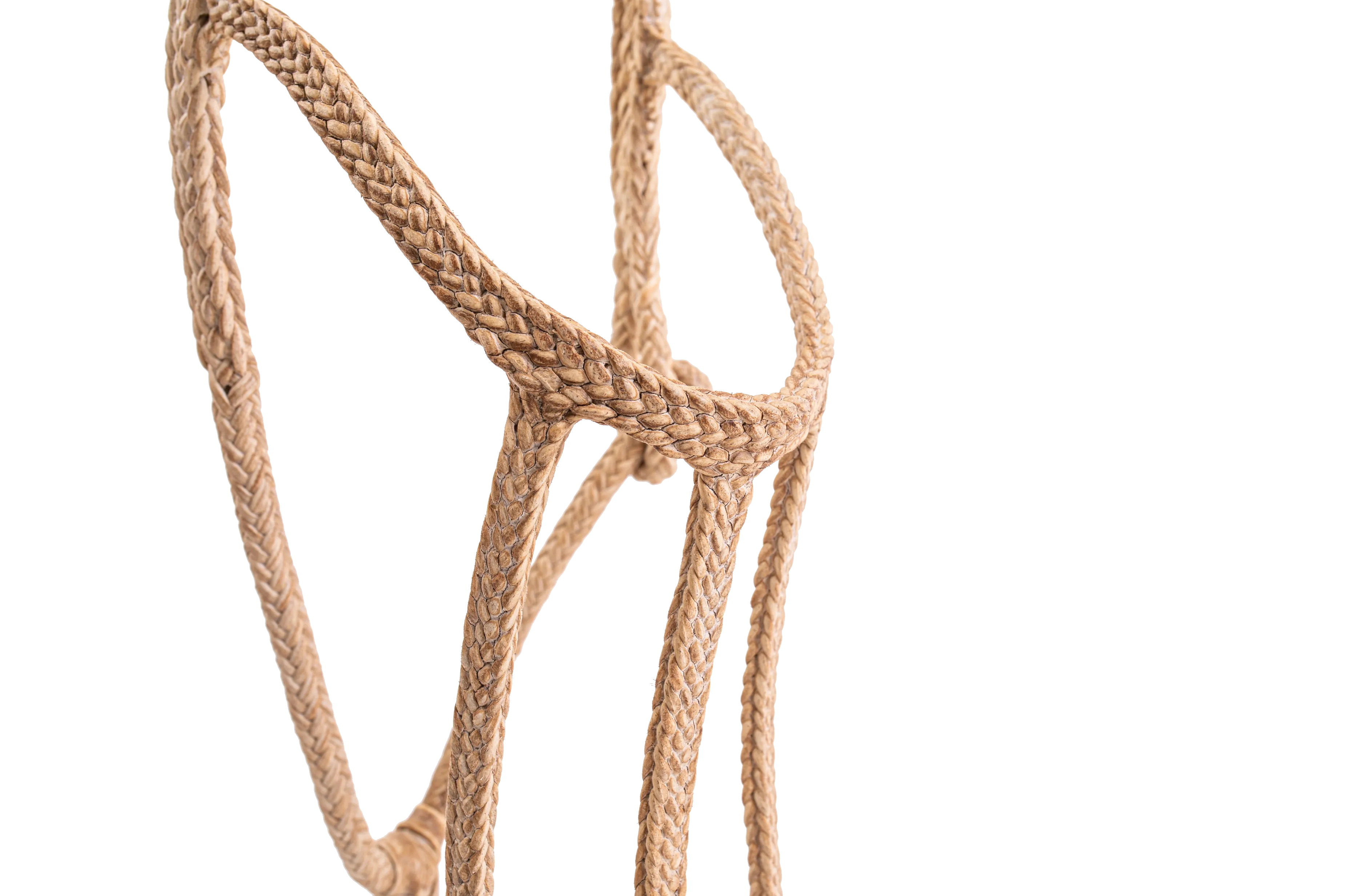 Patria Flat Rawhide Halter