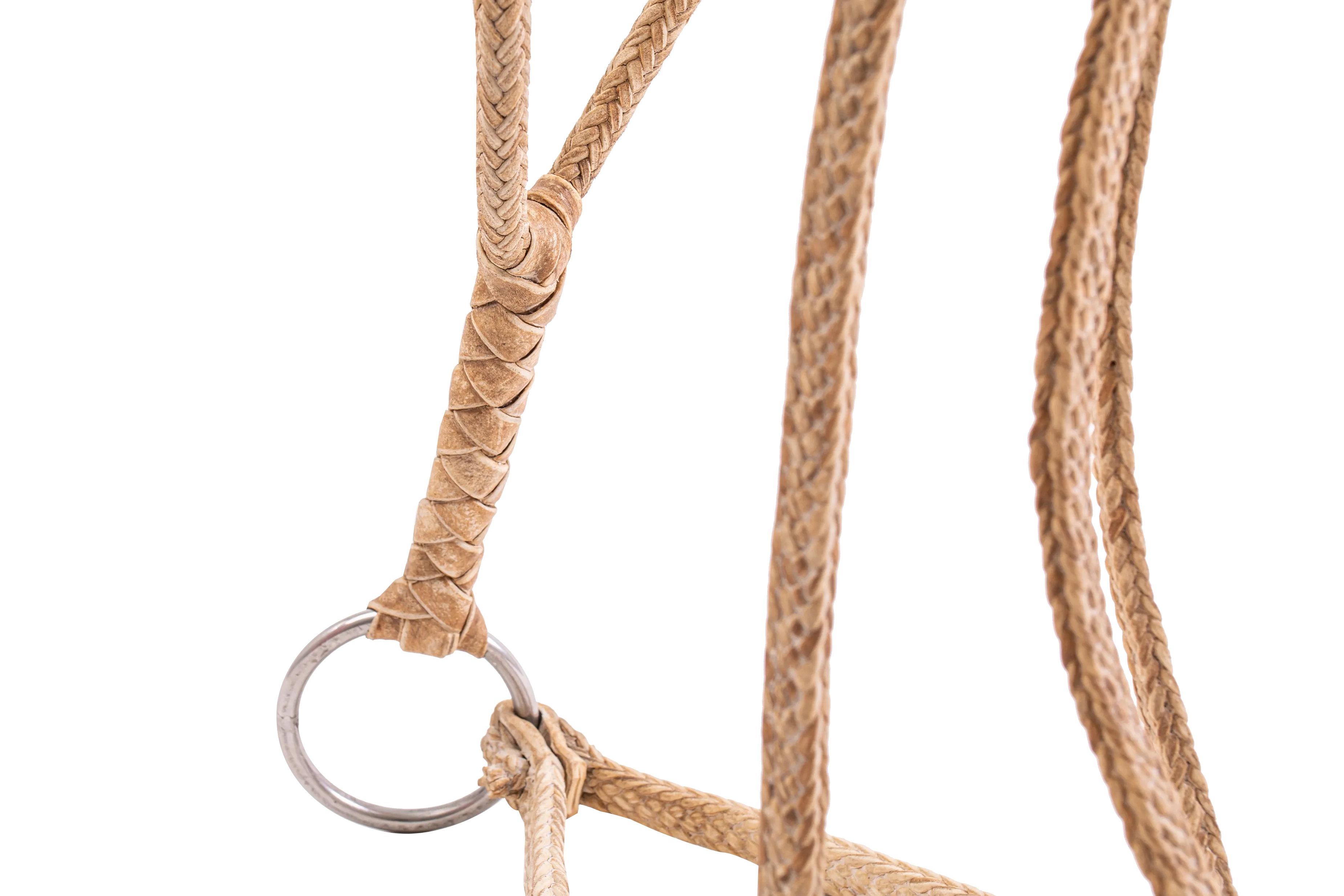 Patria Flat Rawhide Halter