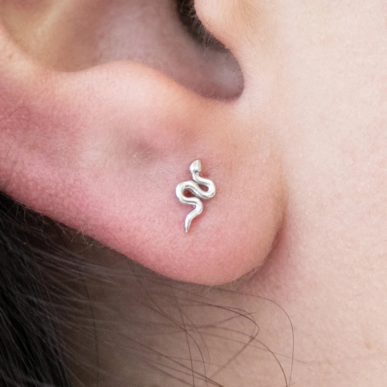 Snake Flat Earring