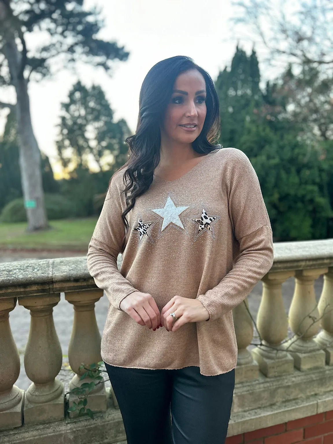 Sparkling Star V-Neck Knit Top in Tan