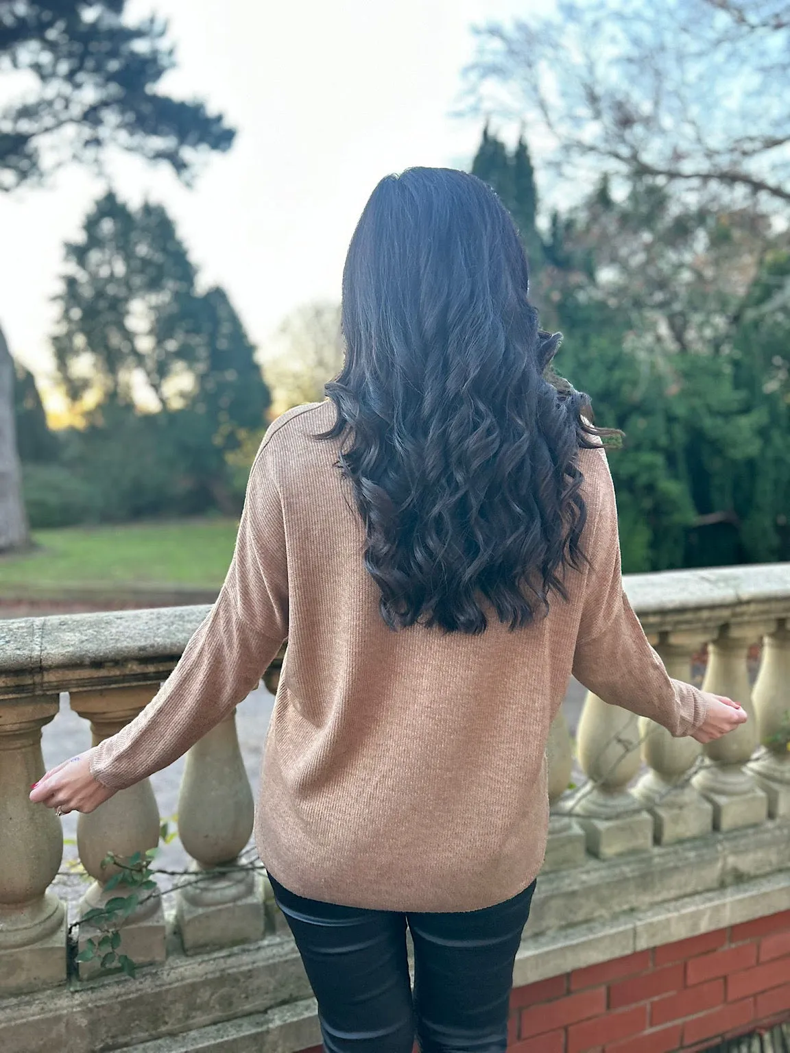 Sparkling Star V-Neck Knit Top in Tan