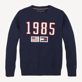 Tommy Hilfiger Boys 3-7 1985 Logo Jumper - Shop Jumpers Now